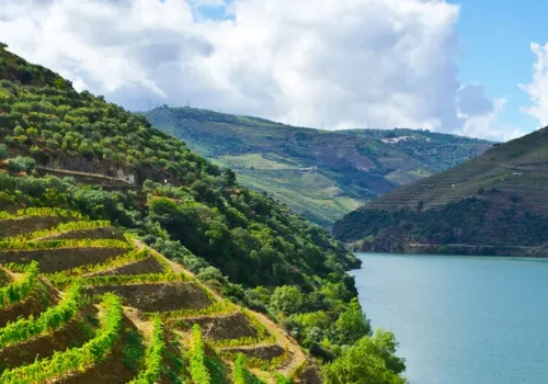 portugal-douro-vallee-croisieurope-slider-pofch-ete-shutterstock portugal-douro-vallee-croisieurope-slider-pofch-ete-shutterstock