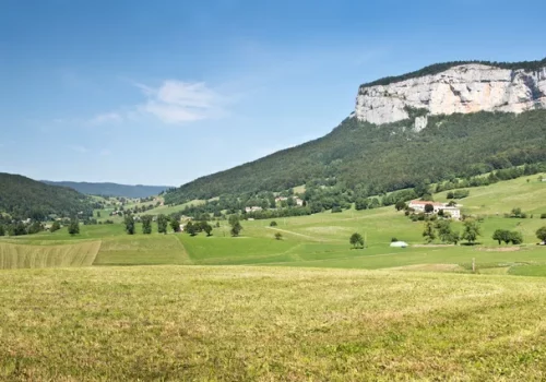 vercors-delcreations-delcreations vercors-delcreations-delcreations